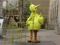 "Without People" (1981)