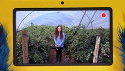 FoodieTruck-Blueberries02