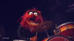 Animal dancing finale