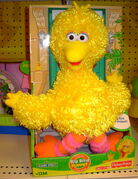 Big Bird