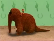 Zoe in Elmo's World: Wild Wild West!