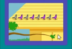 PWMS Pigeonpatten greypurple