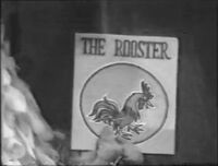 The Rooster