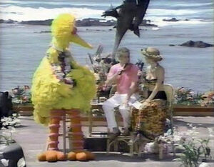 Big Bird on Live with Regis