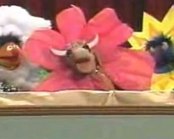 Gladys-flower