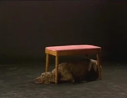 On, under (First: Episode 2653)