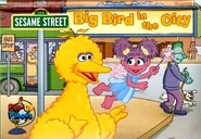 Big Bird in the City (2007)