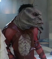 Cargn.jpg (39 KB) Cargn