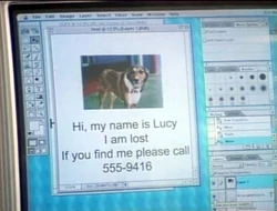 Computer.lostdog