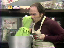 Larry Block (Tom) & KermitSesame Street Episode 0295