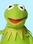 TF1-MuppetsTV-PhotoGallery-14-Kermit