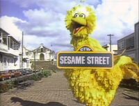 Big Bird Episodes 1318, 1628