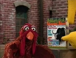 Jack Sesame Street Episode 3533