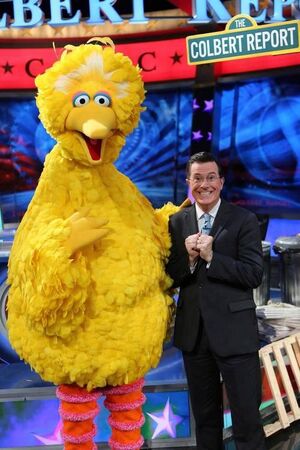 Colbert-BigBird.jpg