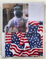 MFSSwatch-SamBoxers.jpg (539 KB)