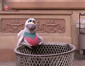 Pigeon.jpg