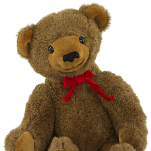 teddy bear sesame street