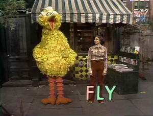 1036-Fly