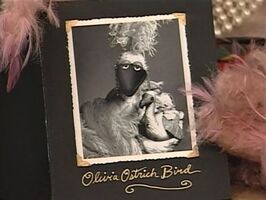 Olivia Ostrich BirdCousin