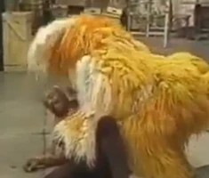 Roscoe Orman (Gordon) & BarkleySesame Street Episode 1202