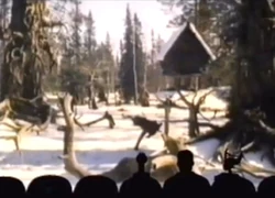 Mst3k jack frost