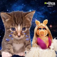 "Wrecking Ball"'s crying cat.