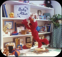 A6 What could Big Bird do when he was a baby?