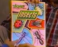 Insects