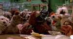 Rowlf in Delaware bringing back dogs