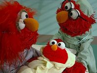 What Elmo's parents look like in the brain of a goldfish.