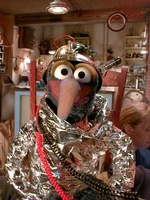 Gonzo closeup.jpg (1.23 MB)