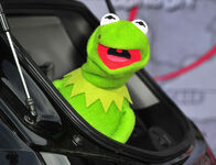 Muppets+Most+Wanted+Premiere (15)