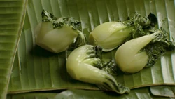 F is for Food (First: Episode 5231)