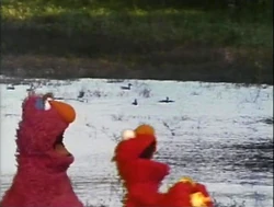 ElmoTellyDucks