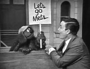 Lets Go Mets - Take me out to the ball game 10 1 64.jpg (122 KB)