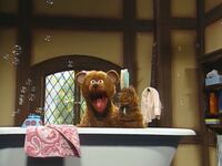 "Baby Bear's Bath Song"