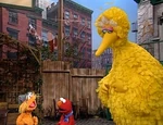 Share-zoe-elmo-bigbird