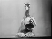 TMOP-Snerf.jpg (86 KB) With Rowlf in The Muppets on Puppets