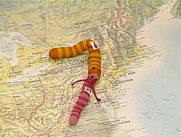 Slimey & SlinkySesame Street Episode 2719