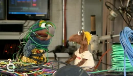 Gonzo's a little tangled up in the wires