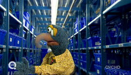 Gonzo in the stockroom