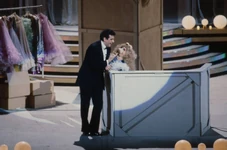 100Stars-1982d.jpg (36 KB)