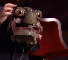 The Turtlepuss internal mechanism