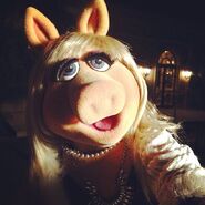 Miss Piggy, QVC