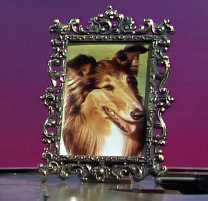 Lassie's picture on The Muppet Show