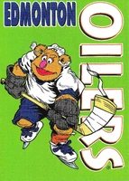 #34. Edmonton Oilers