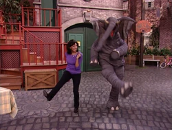 Action elephant maria