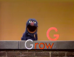 GroverandtheGrowingG