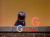 Grover: Letter G
