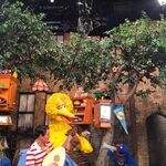 Zachary Levi on set with Big Bird